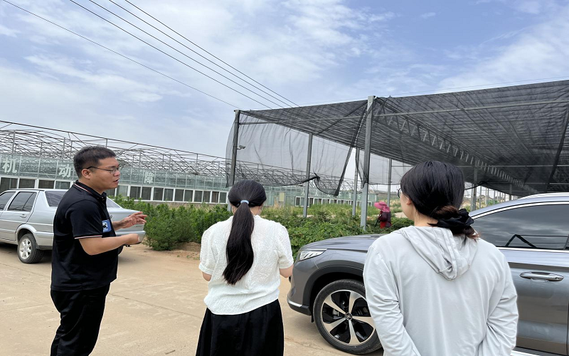 1717641781126058415.png 圖片1.png